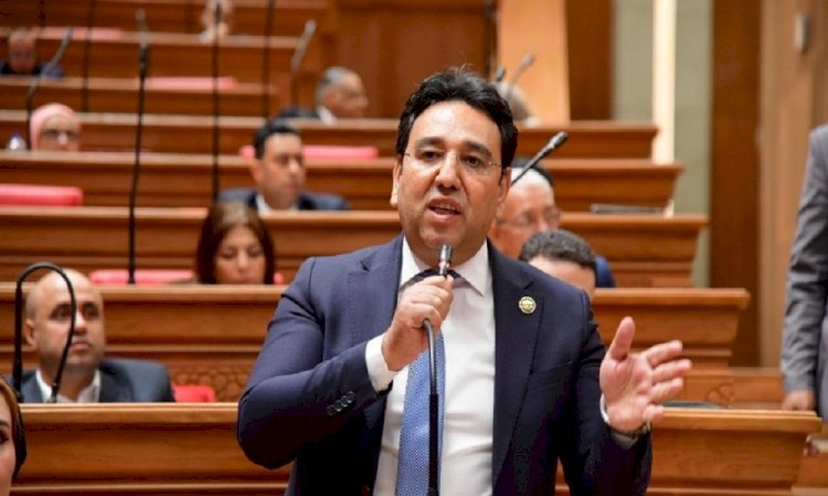 النائب أيمن محسب: كلمة الرئيس السيسي بالاجتماع الطارئ عكست رؤية مصر لاحتواء التصعيد