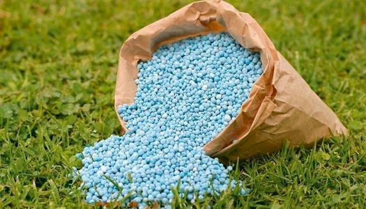 "الزراعة": استقرار كامل في إمدادات الأسمدة المدعمة ولا نقص في الحصص